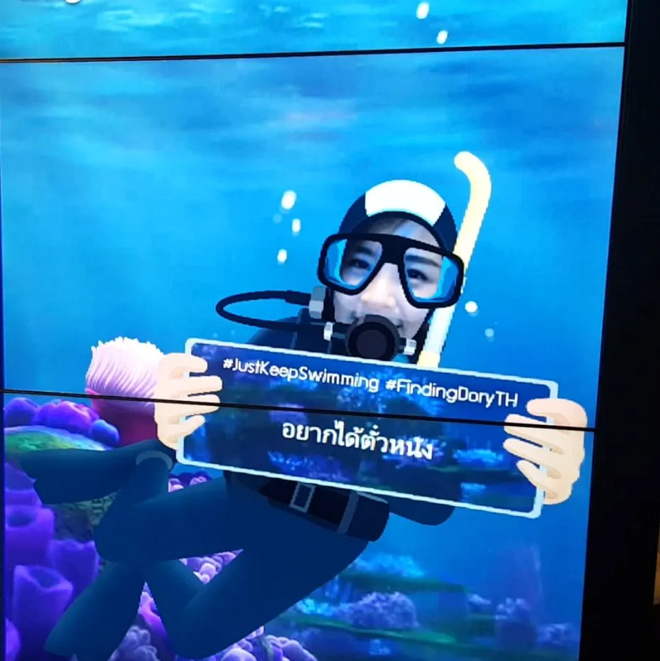 Finding Dory ภาพที่ 1